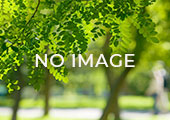 noimage